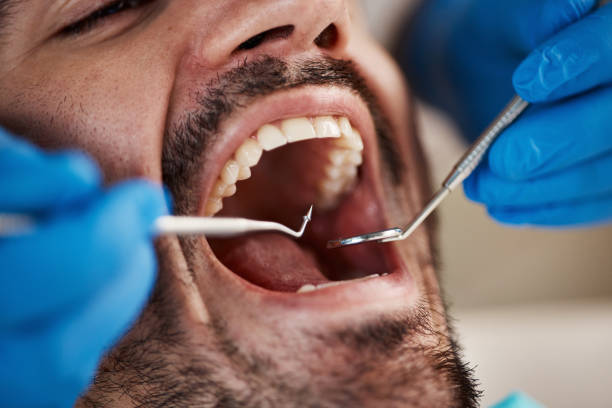 Best Emergency Orthodontic Services in Thomasboro, IL